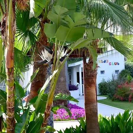 Calimera Hotell