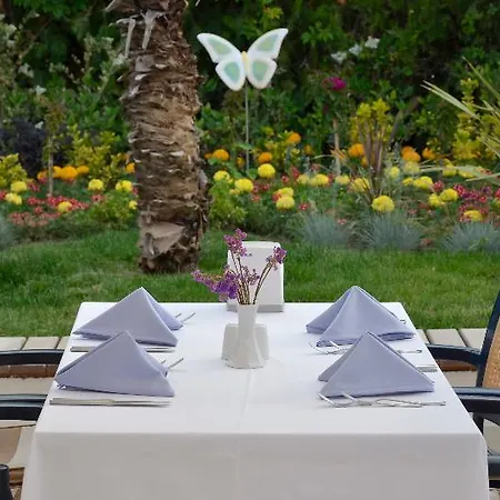Calimera Hotell 4*